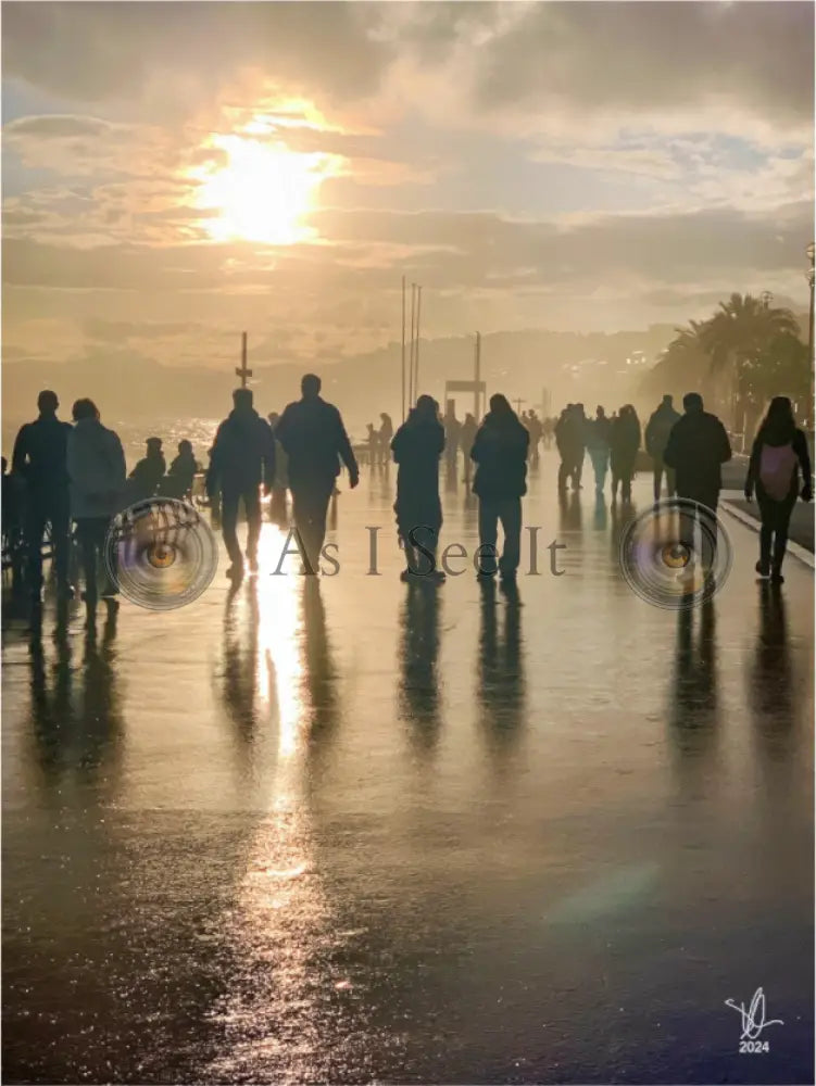 Main image After the Rain