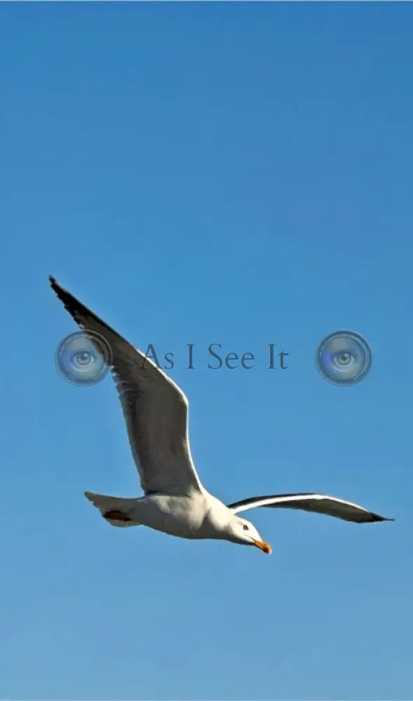 Main image Cutting Through Blue