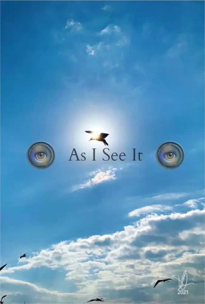 Main image Divine Bird