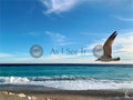Main image Flying Solo