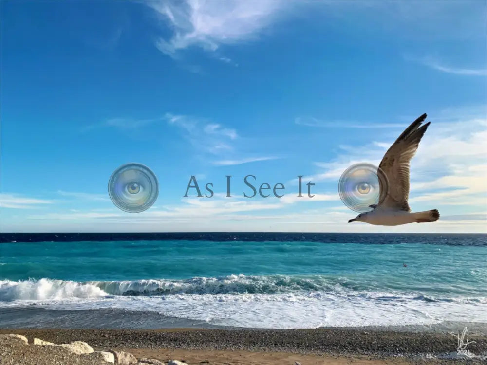 Main image Flying Solo
