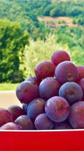 Main image Fresh Air with Grapes