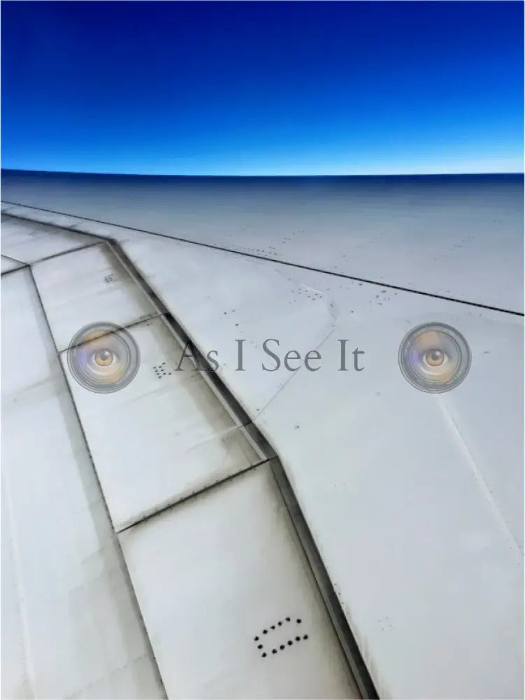 Main image One Day I'll Fly Away