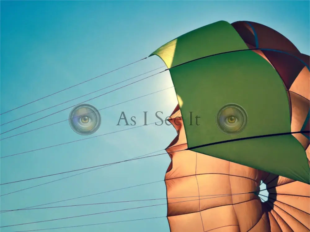 Main image Ready for Lift Off