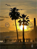 Main image Spring Sunset