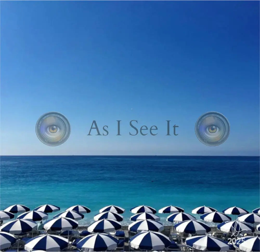 Main image The Nice Blues