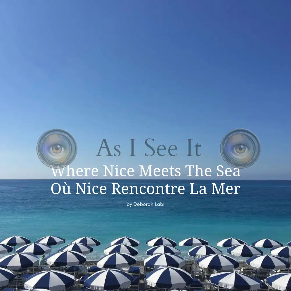 Where Nice Meets the Sea