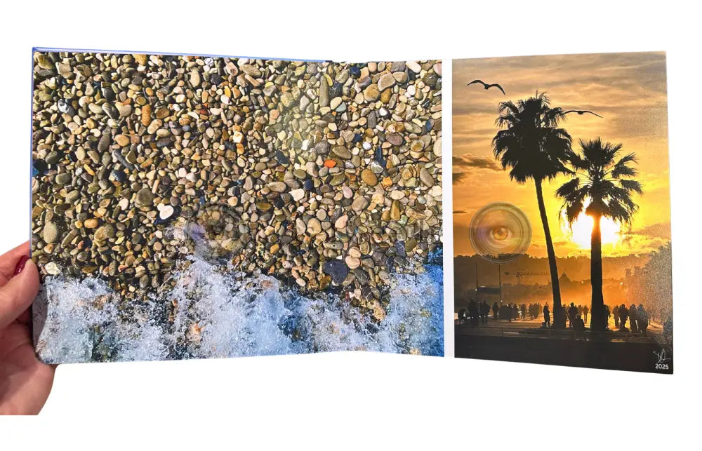 Where Nice Meets the Sea